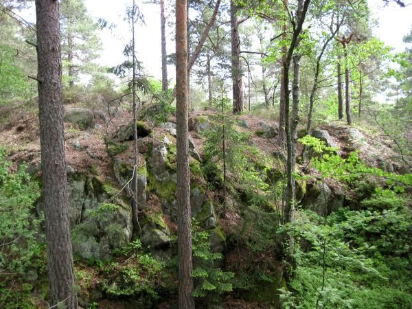 0013_Variable_terrain.jpg