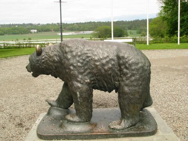 0044_The_bear.jpg