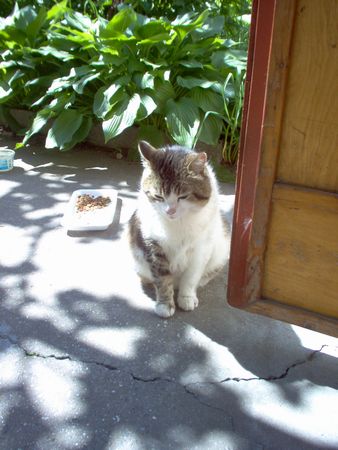 005_odessa_17.jpg