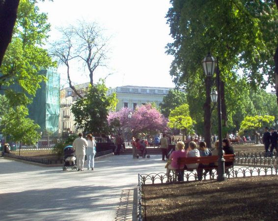 006_odessa_23.jpg